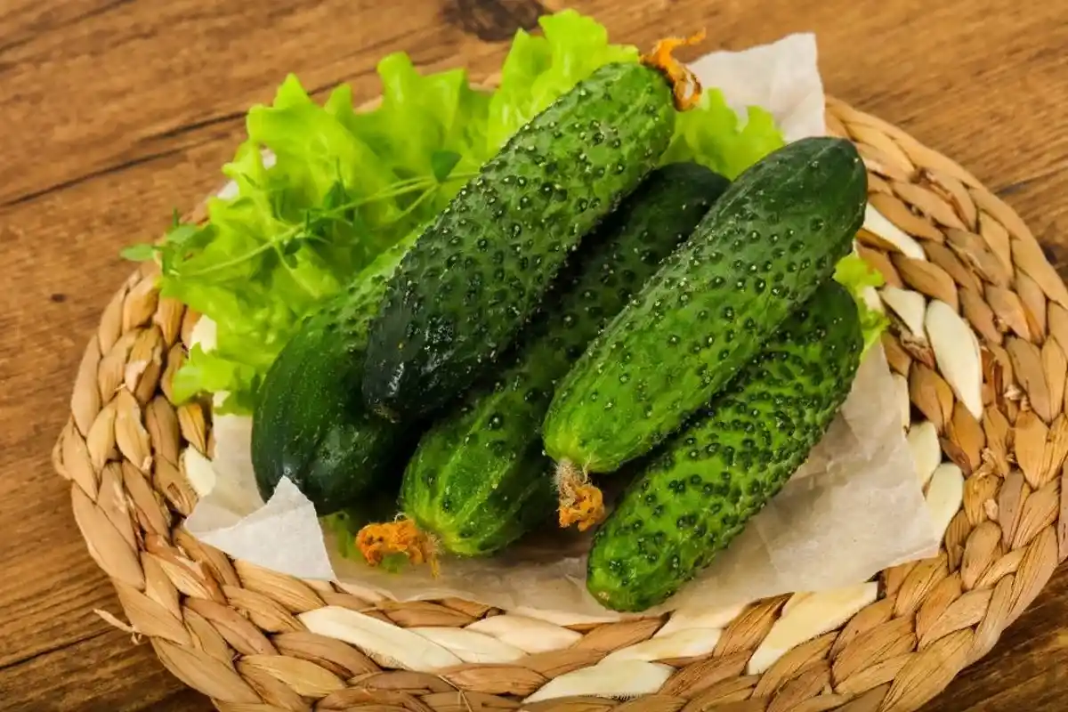 Afskrække Insekter Sommer: Enkle Tricks til et Insektfri Hjem!