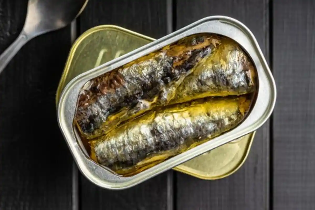 Fiskekonserves til Sundhed: Top-5 Valg for Protein og Omega-3!