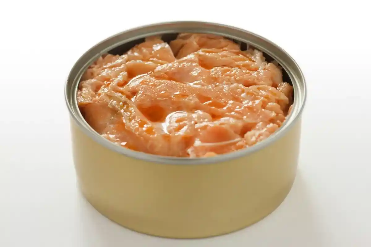 Fiskekonserves til Sundhed: Top-5 Valg for Protein og Omega-3!