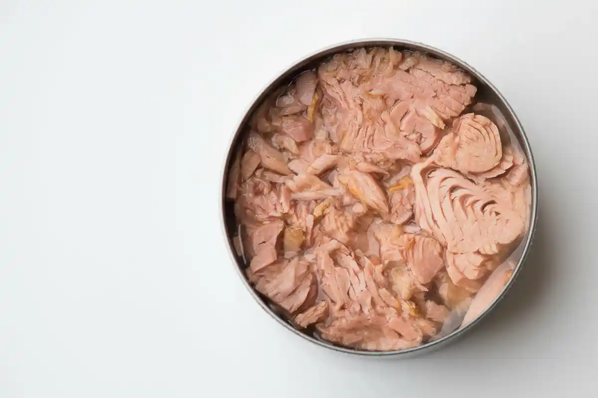 Fiskekonserves til Sundhed: Top-5 Valg for Protein og Omega-3!