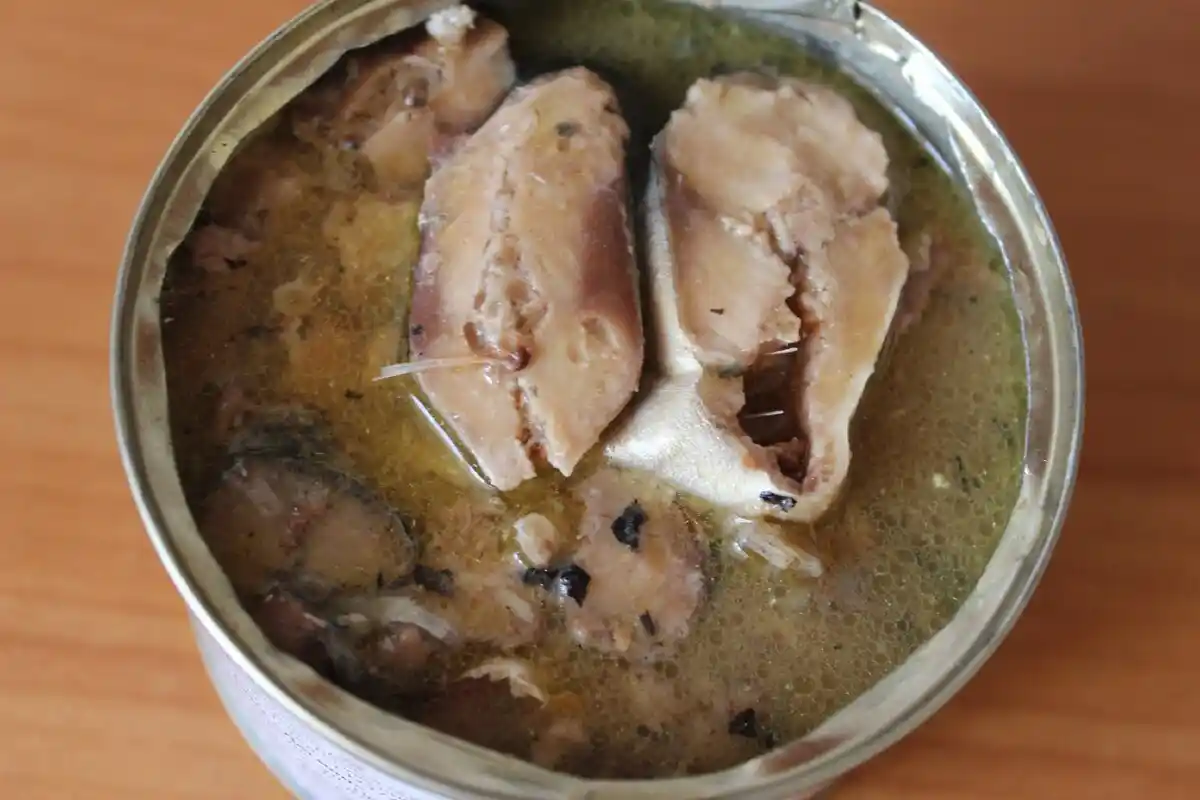 Fiskekonserves til Sundhed: Top-5 Valg for Protein og Omega-3!