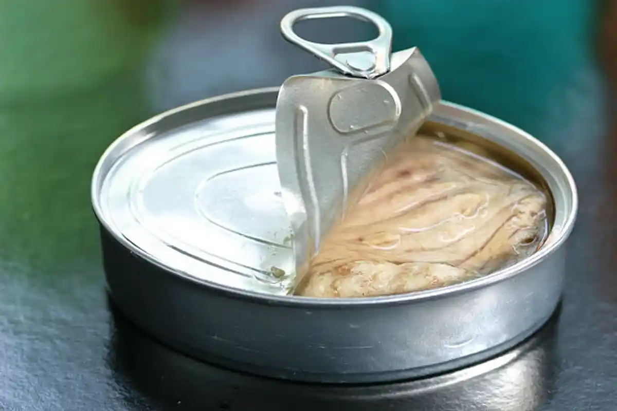 Fiskekonserves til Sundhed: Top-5 Valg for Protein og Omega-3!
