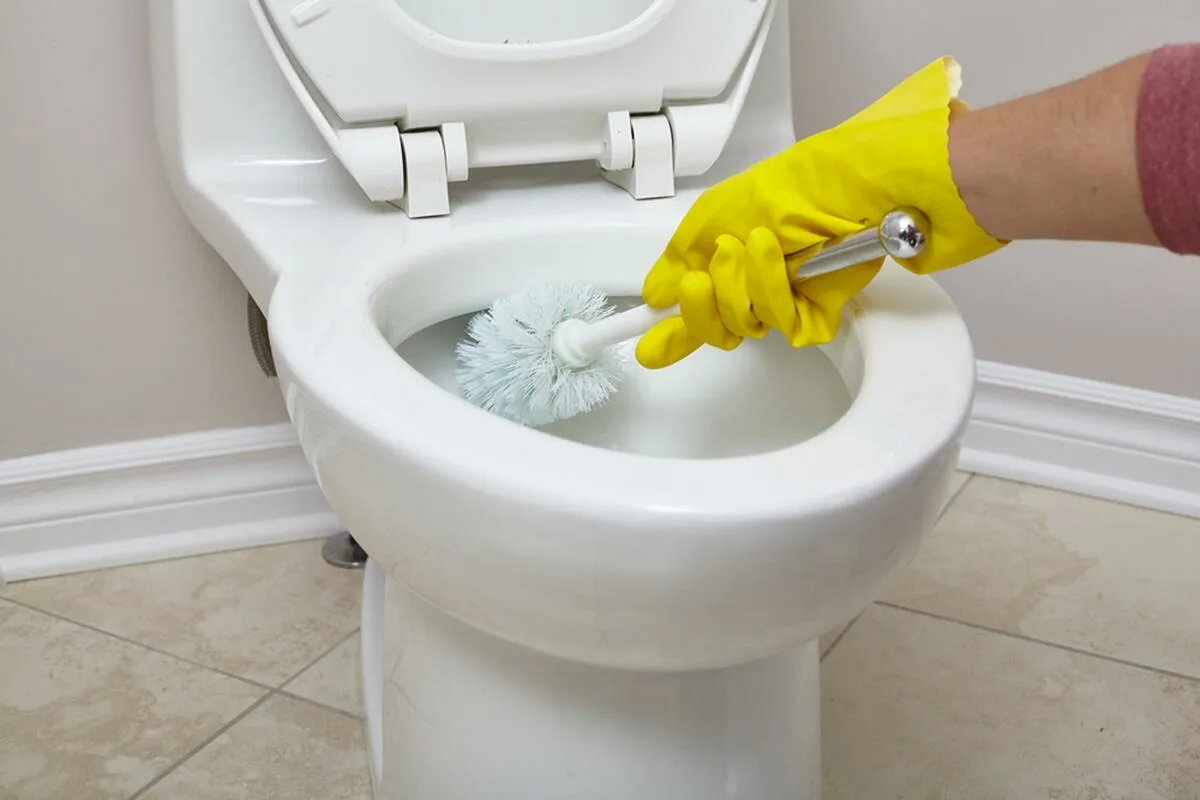 Fjerne Kalk fra Toilettet: Et Simpelt Trick med Køkkenrulle