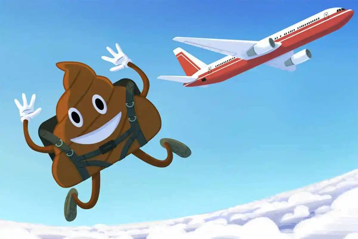 Flytoilet Affald: Hvor Ender Det, og Hvad Er "Blå Is"?