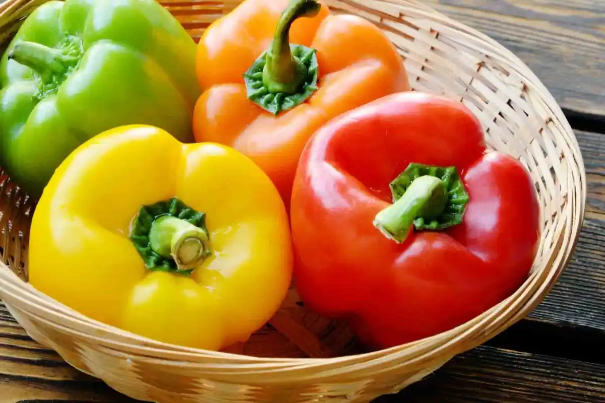 Sådan Opbevarer Du Peberfrugt i Op til Tre Måneder Uden at Den Bliver Blød