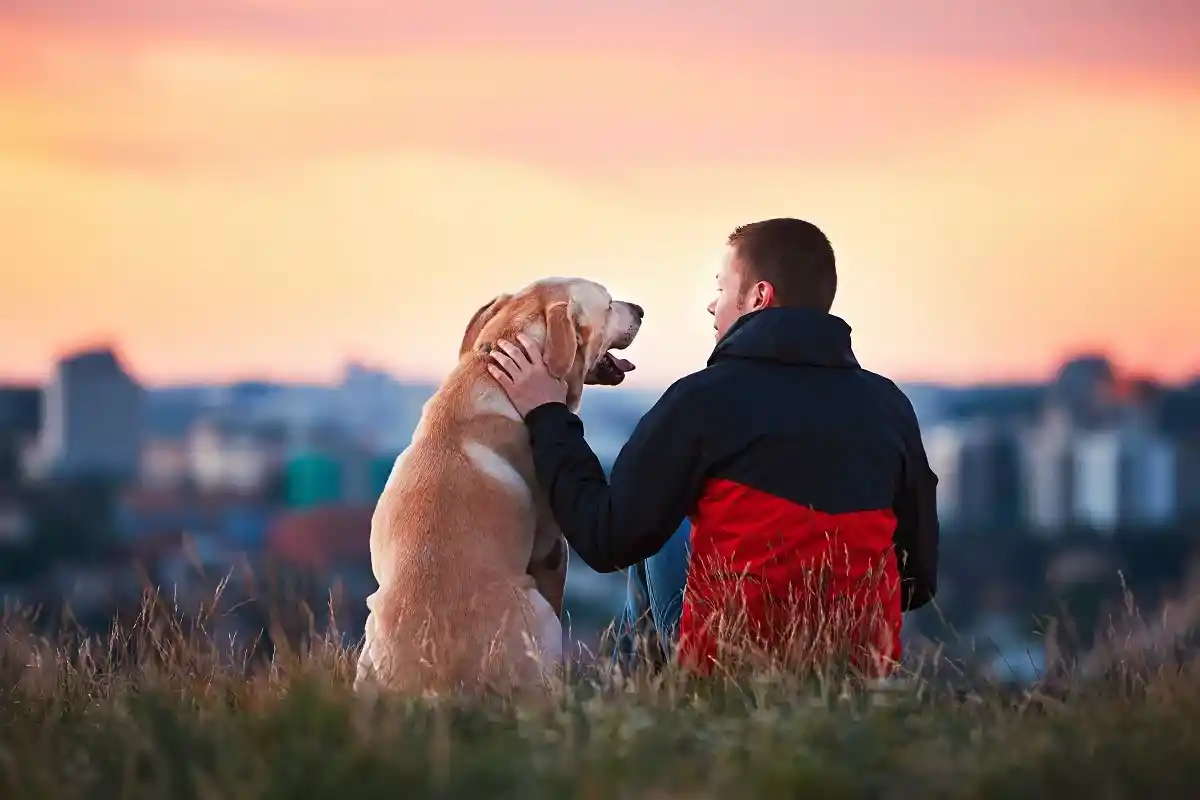 Hvorfor hunde forstår dit humør bedre end mennesker