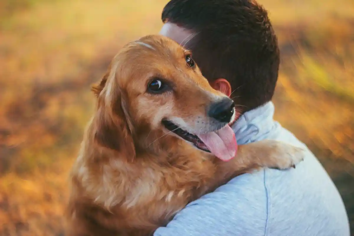 Hvorfor hunde forstår dit humør bedre end mennesker