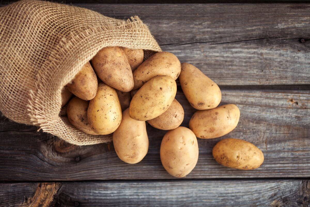 Kartoffelens Evolution: Fra Tomat til Knold på 9 Millioner År
