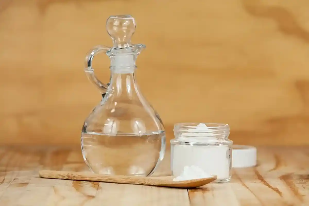 Laurbærblade i Køleskabet: Hvorfor Alle Bruger Denne Aromatiske Urts Magi!