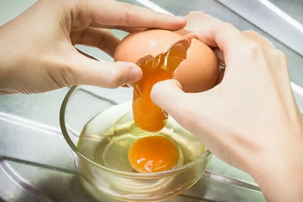 Lav en Omelet i en Kop: Lækker Morgenmad på Under 2 Minutter!