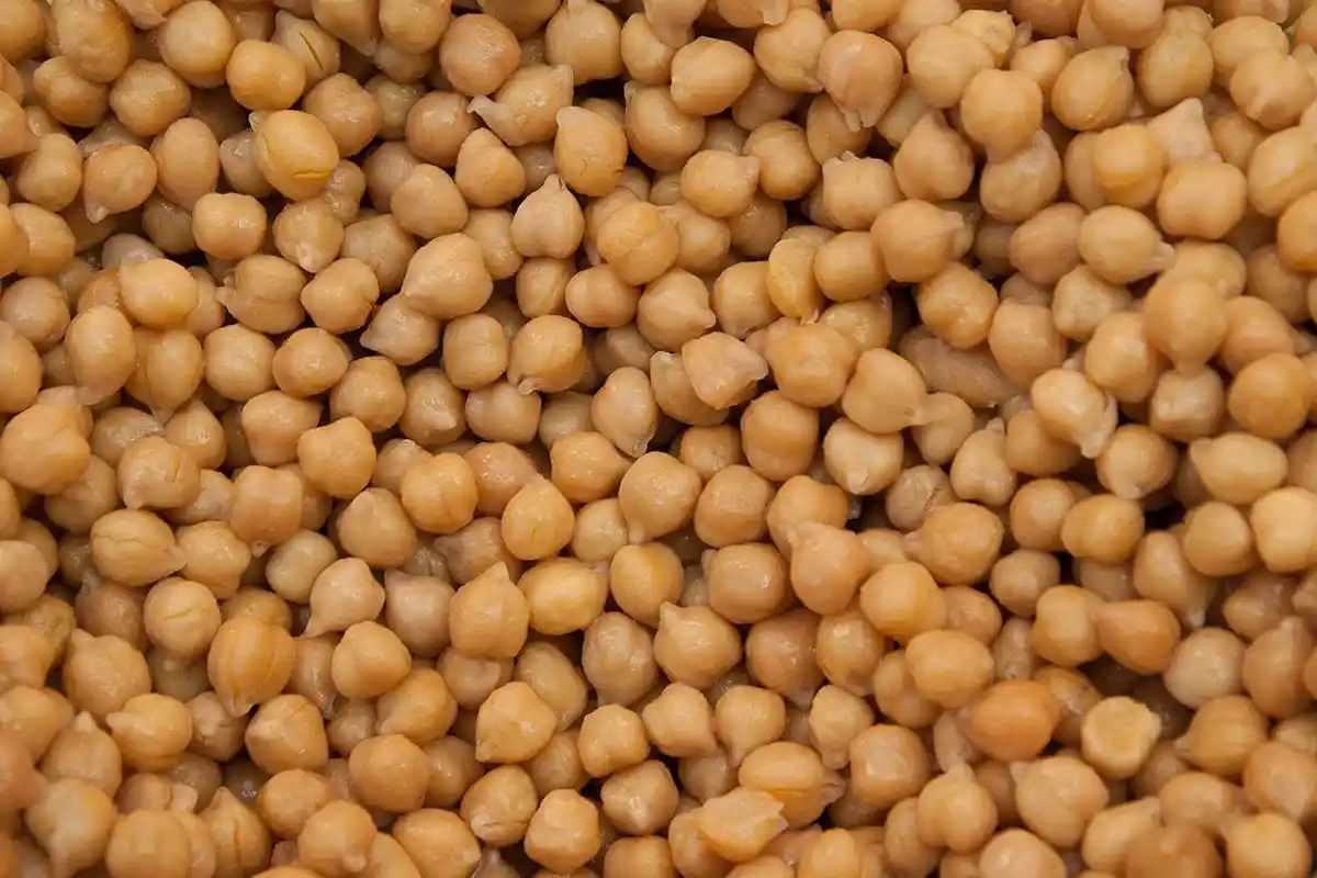 Plantebaseret Protein: 8 Alternativer til Æg, Der Booster Dit Helbred!