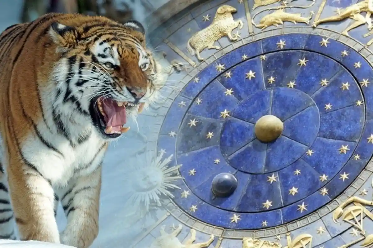 Oplev det mest konfliktfyldte tegn i det kinesiske horoskop